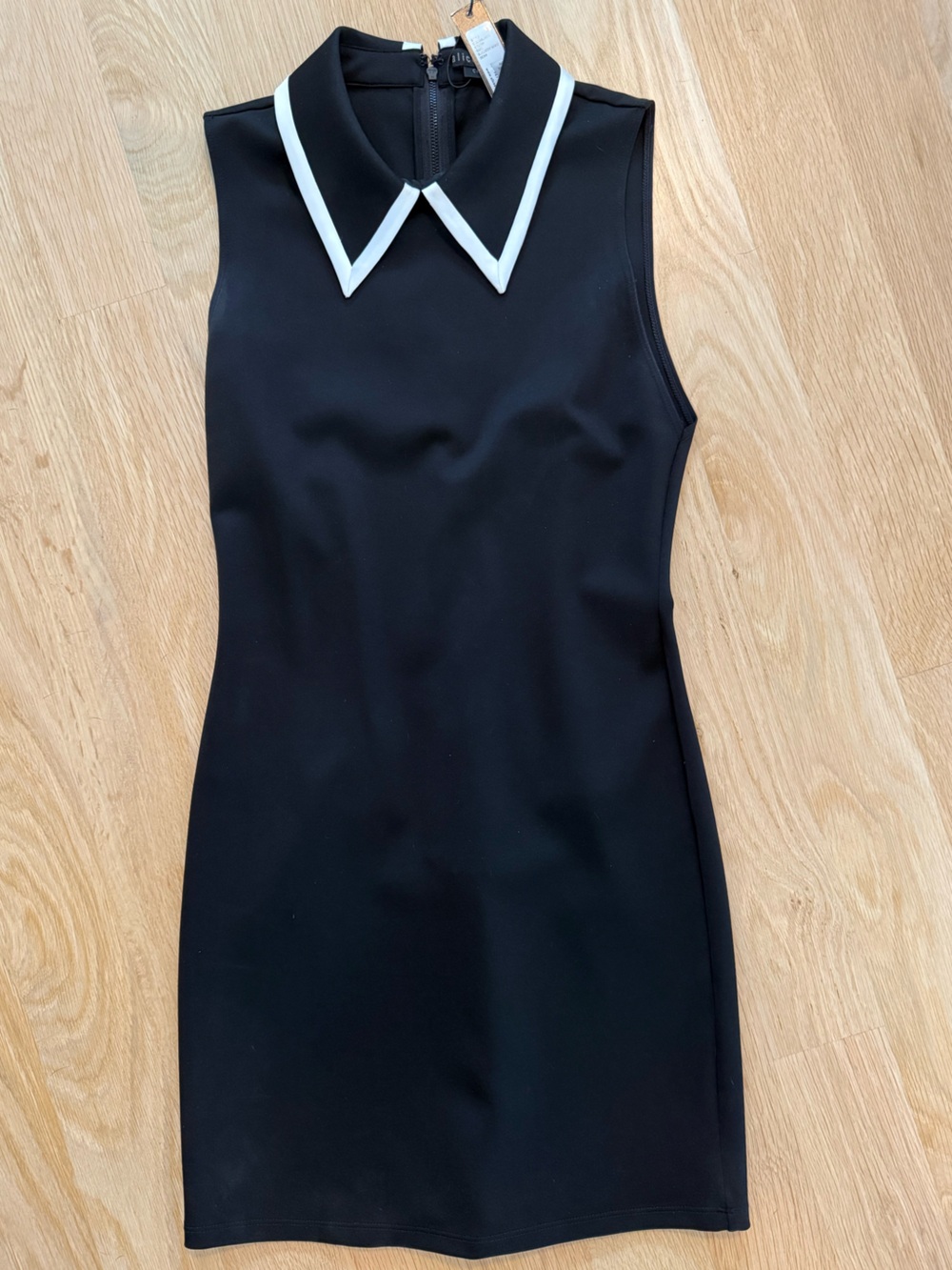 Alice + Olivia Wynell Tipped Collar Minidress - Picture 7 of 11